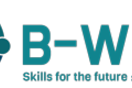 B-WISE logo