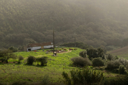 An illustrative photo of a green field with a house on top of it
