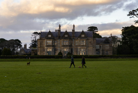 An illustrative photo of two people and a dog walking in front of a large building.