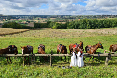 Rural Tourism People riding horses on green grass field during daytime