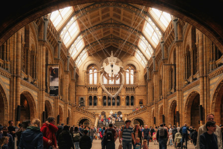 An illustrative photo of people walking through a large museum
