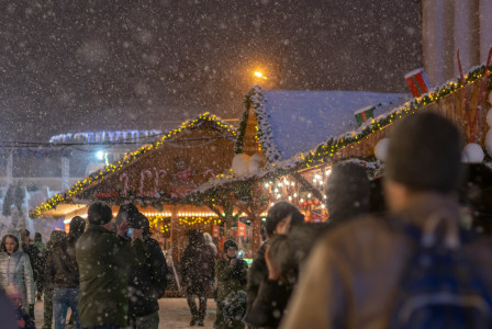 An illustrative photo of a crowd of people walking on a snowy street.