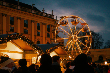 An illustrative photo of a crowd of people standing around a christmas tree.