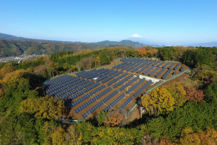 An illustrative photo of a solar panel energy farm