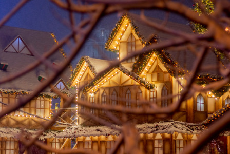 An illustrative photo of a house with a lot of christmas lights.