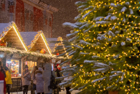 An illustrative photo of a group of people standing around a christmas tree.