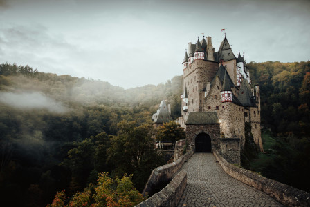 Photo by Unsplash An illustrative photo of a castle in the middle of a forest.