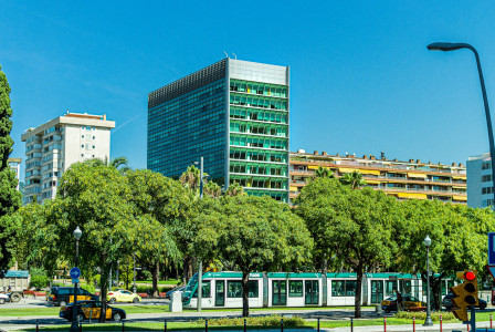 An illustrative photo of a sunny day in a green city