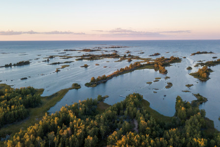 An illustrative photo of green grass and trees near a body of water.