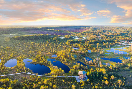 An illustrative photo of a view of lakes in a forest.