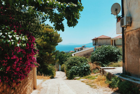 Photo by Unsplash An illustrative photo of green trees near brown houses