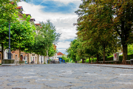 Photo by Unsplash An illustrative photo of a street with green trees