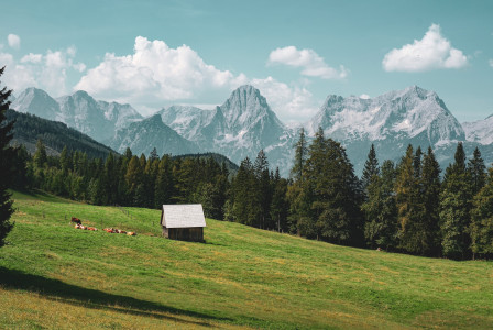 Photo by Unsplash An illustrative photo of a grassy field with mountains in the background.