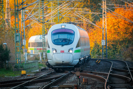 An illustrative photo of a train traveling down train tracks next to a yellow forest.