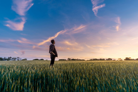 Image by Unsplash An illustrative photo of a man standing in the field looking at the sky.