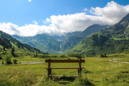 Image by Unsplash An illustrative photo of a wooden bench sitting on top of a lush green field.