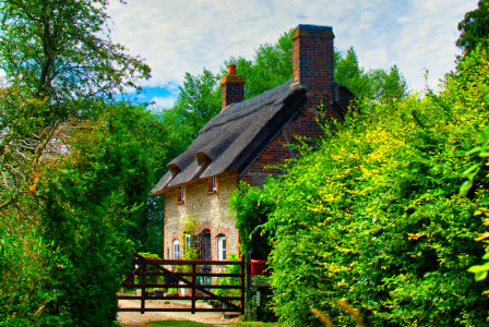 An illustrative photo of a house with two chimneys in a forest.