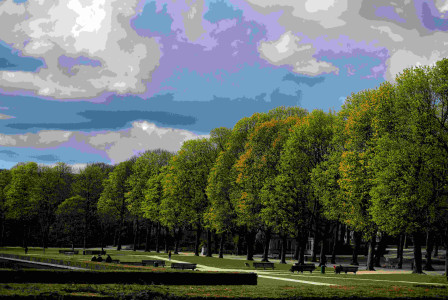 An illustrative photo of a row of trees in a park on a cloudy day.