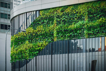 An illustrative photo of a glass building with green plants on it.