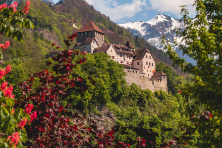An illustrative photo of a castle on a mountain with green trees.