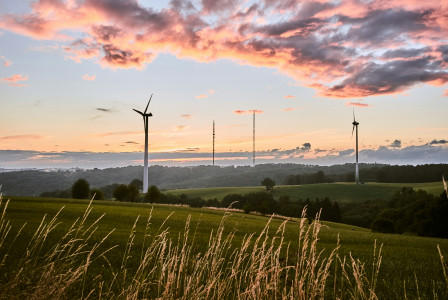An illustrative photo of wind turbines on a green grass field during sunset.