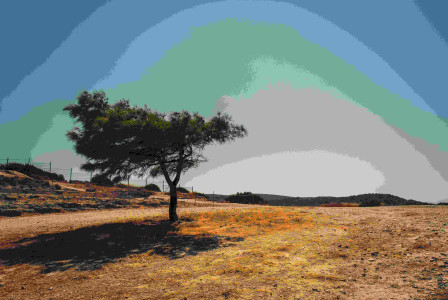 Image by Unsplash An illustrative photo of a green tree on soil field during daytime.