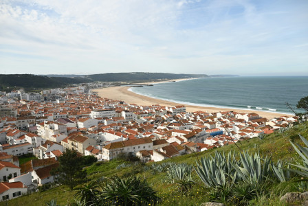 An illustrative photo of a view of a beach and a city.