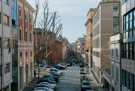 An illustrative photo of a street lined with parked cars.