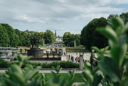 An illustrative photo of people walking in a park during daytime.