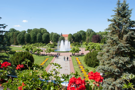 An illustrative photo of people walking in a green park with a fountain.