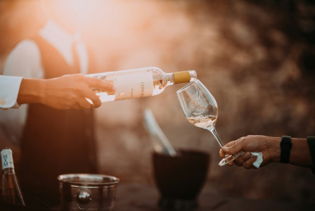 An illustrative photo of a person holding a wine glass bottle.