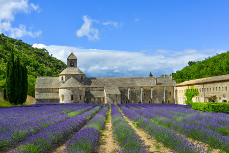 Photo by Unsplash An illustrative photo of a lavender field with a church in the background.