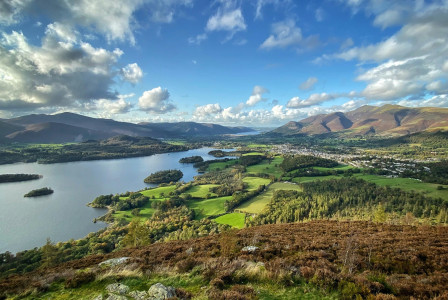 An illustrative photo of a green grass field near a lake under blue sky.