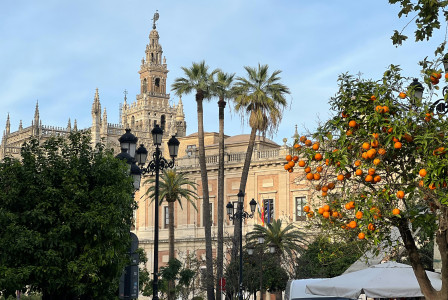 An illustrative photo of a building.