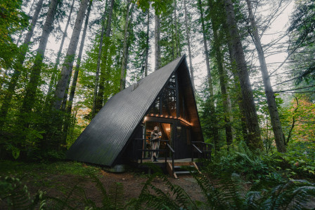An illustrative photo of a small cabin in the middle of a forest.
