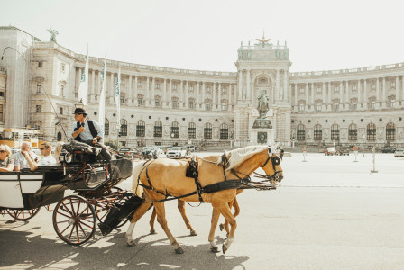 An illustrative photo of a man riding horse carriage near big white building in Vienna