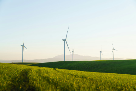 An illustrative photo of white windmills in a green field.