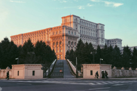 An illustrative photo of green trees beside a white building.