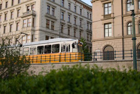 An illustrative photo of a yellow tram travelling through a city.