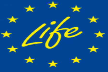 Life logo
