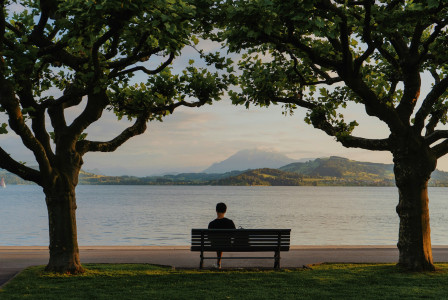 An illustrative photo of a person sitting on a bench near some trees.