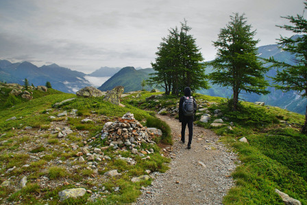 An illustrative photo of a person walking beside green leaf tree.