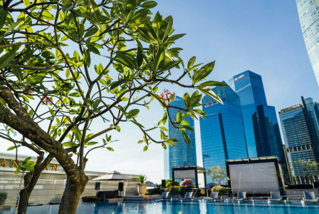 An illustrative photo of a large swimming pool in front of tall buildings.