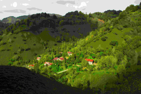 Photo by Unsplash An illustrative photo of houses on a green hillside.