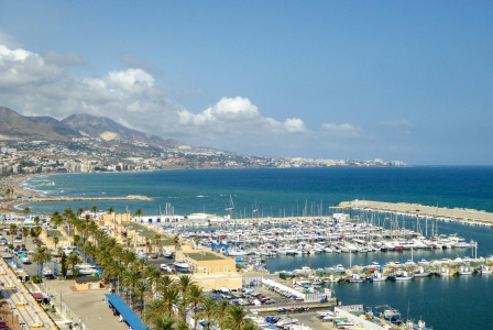 Photo by Unsplash An illustrative photo of a marina filled with lots of boats and palm trees.