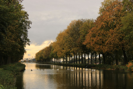 An illustrative photo of brown trees beside a river during daytime.