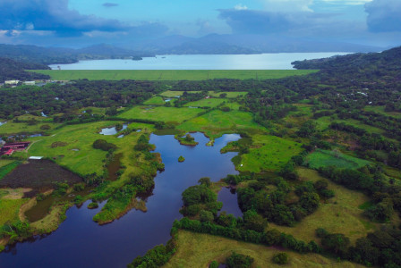 An illustrative photo of a large body of water surrounded by lush green fields.
