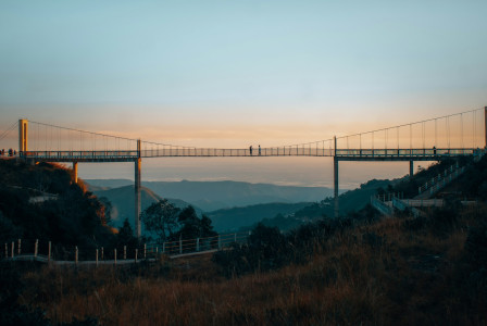 An illustrative photo of a view of a bridge from a hill.