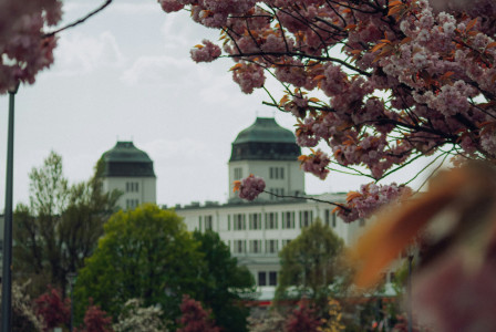 Photo by Unsplash An illustrative photo of a building with a dome roof and trees in front.