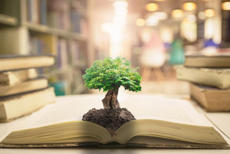 tree coming out of a book